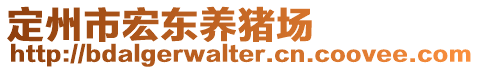 定州市宏?yáng)|養(yǎng)豬場(chǎng)