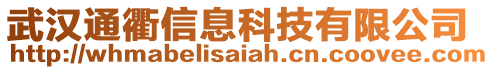 武漢通衢信息科技有限公司