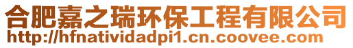 合肥嘉之瑞環(huán)保工程有限公司