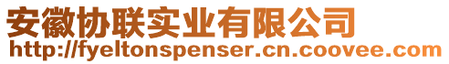 安徽協聯實業有限公司
