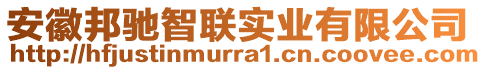 安徽邦馳智聯實業有限公司