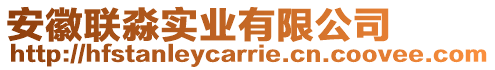安徽聯淼實業有限公司