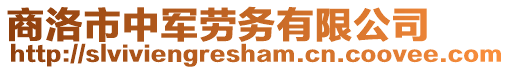 商洛市中軍勞務有限公司