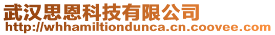 武漢思恩科技有限公司