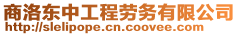 商洛東中工程勞務有限公司