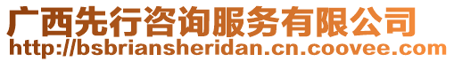 廣西先行咨詢(xún)服務(wù)有限公司