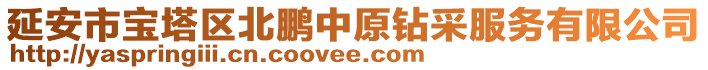 延安市寶塔區北鵬中原鉆采服務有限公司