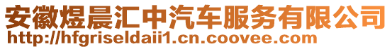 安徽煜晨匯中汽車服務有限公司