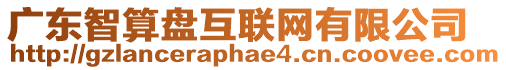 廣東智算盤互聯網有限公司