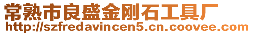 常熟市良盛金剛石工具廠