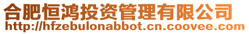 合肥恒鴻投資管理有限公司