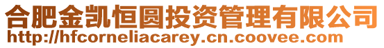 合肥金凱恒圓投資管理有限公司