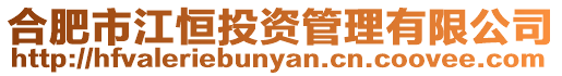 合肥市江恒投資管理有限公司