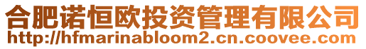 合肥諾恒歐投資管理有限公司