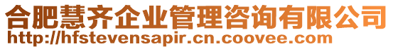 合肥慧齊企業(yè)管理咨詢有限公司