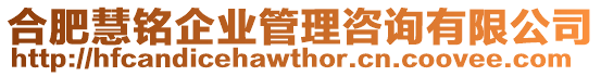 合肥慧銘企業管理咨詢有限公司