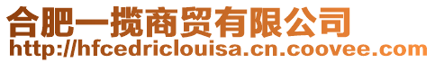 合肥一攬商貿(mào)有限公司