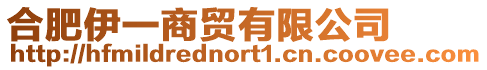合肥伊一商貿有限公司