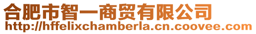 合肥市智一商貿(mào)有限公司