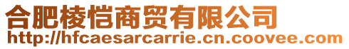 合肥棱愷商貿有限公司