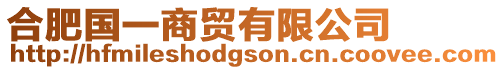 合肥國一商貿有限公司