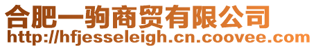 合肥一駒商貿有限公司