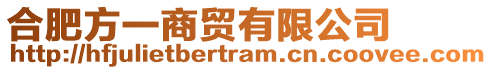 合肥方一商貿有限公司