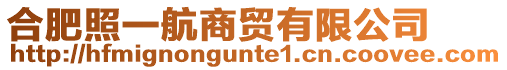 合肥照一航商貿(mào)有限公司