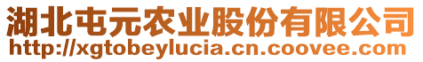 湖北屯元農(nóng)業(yè)股份有限公司