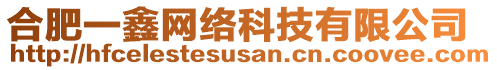 合肥一鑫網絡科技有限公司