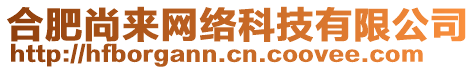 合肥尚來網絡科技有限公司