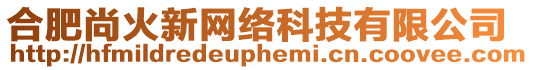 合肥尚火新網絡科技有限公司