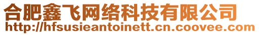 合肥鑫飛網絡科技有限公司