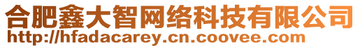 合肥鑫大智網絡科技有限公司