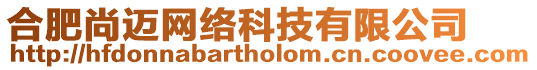 合肥尚邁網絡科技有限公司