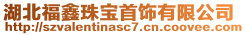 湖北福鑫珠寶首飾有限公司