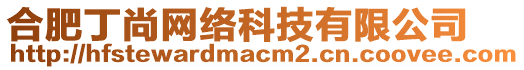 合肥丁尚網絡科技有限公司