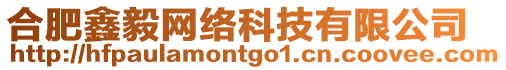 合肥鑫毅網絡科技有限公司