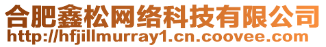 合肥鑫松網絡科技有限公司