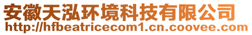 安徽天泓環境科技有限公司