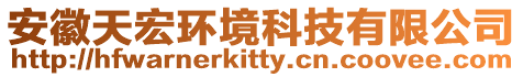 安徽天宏環境科技有限公司