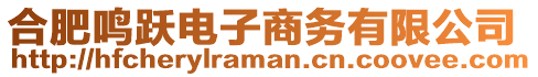合肥鳴躍電子商務有限公司