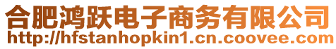 合肥鴻躍電子商務有限公司