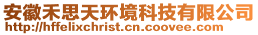 安徽禾思天環境科技有限公司