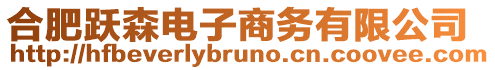 合肥躍森電子商務有限公司