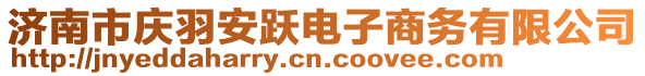 濟南市慶羽安躍電子商務有限公司