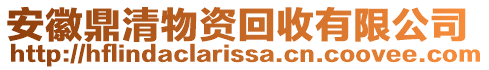 安徽鼎清物資回收有限公司