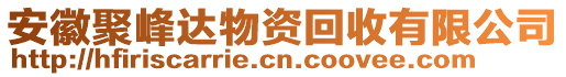 安徽聚峰達物資回收有限公司