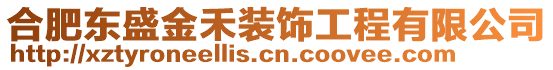 合肥東盛金禾裝飾工程有限公司