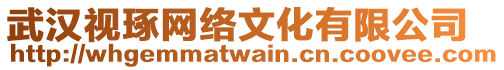 武漢視琢網(wǎng)絡(luò)文化有限公司